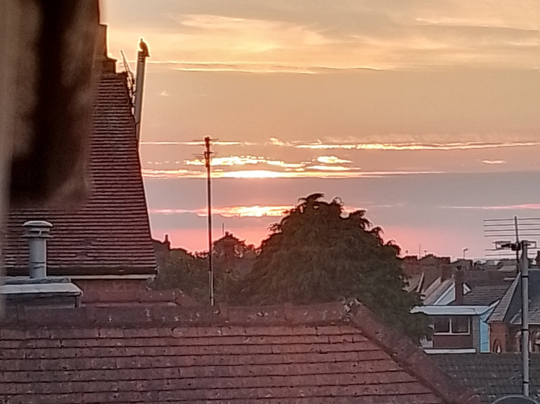 The Aldor Guest House主图