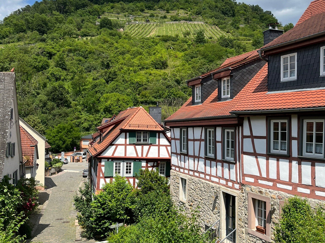Altstadt Heppenheim-Heppenheim必去景点