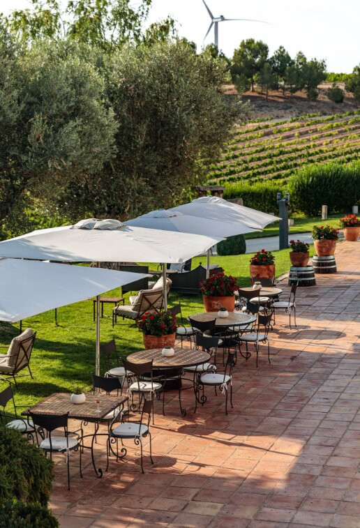 Bodega Pago de Cirsus主图