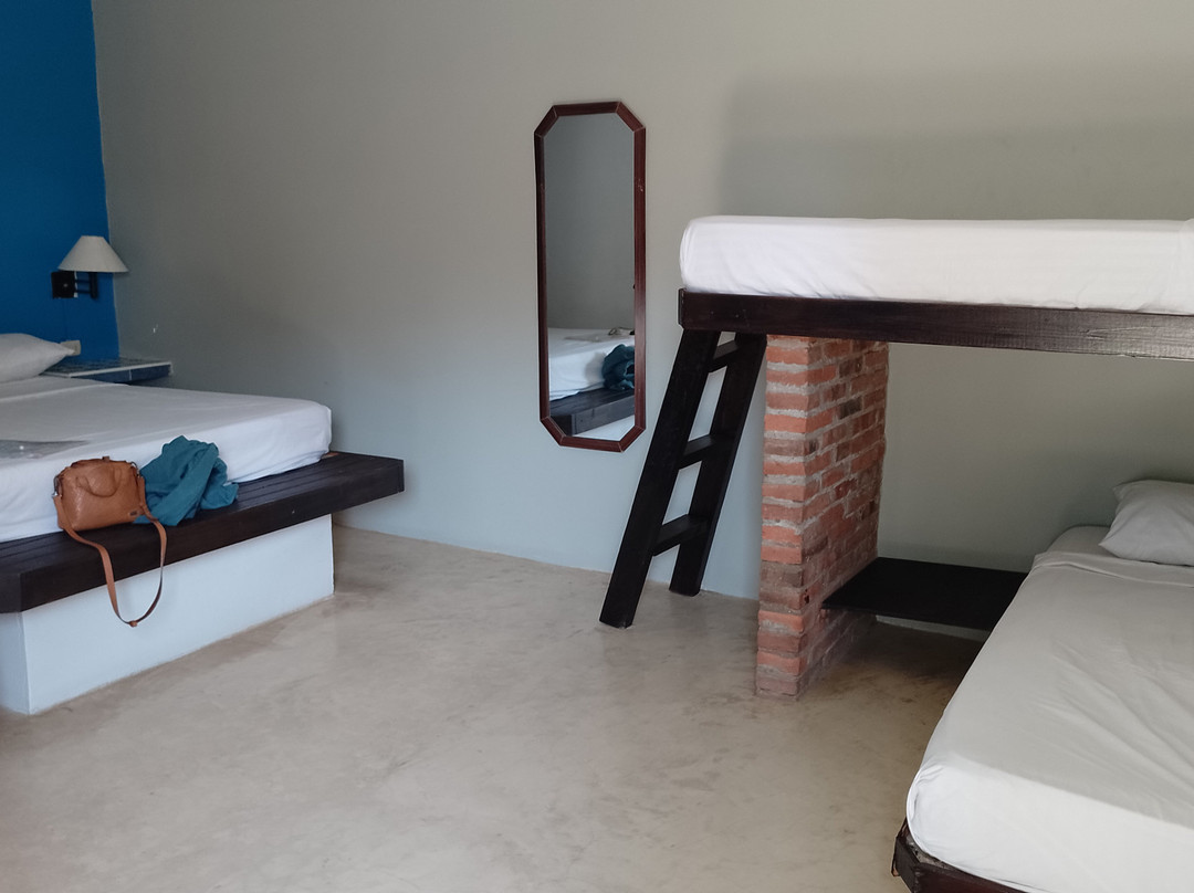 Posada Cocolandia主图