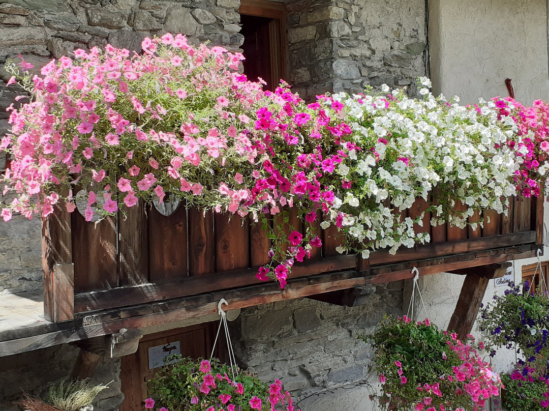 Maison Le Cler主图