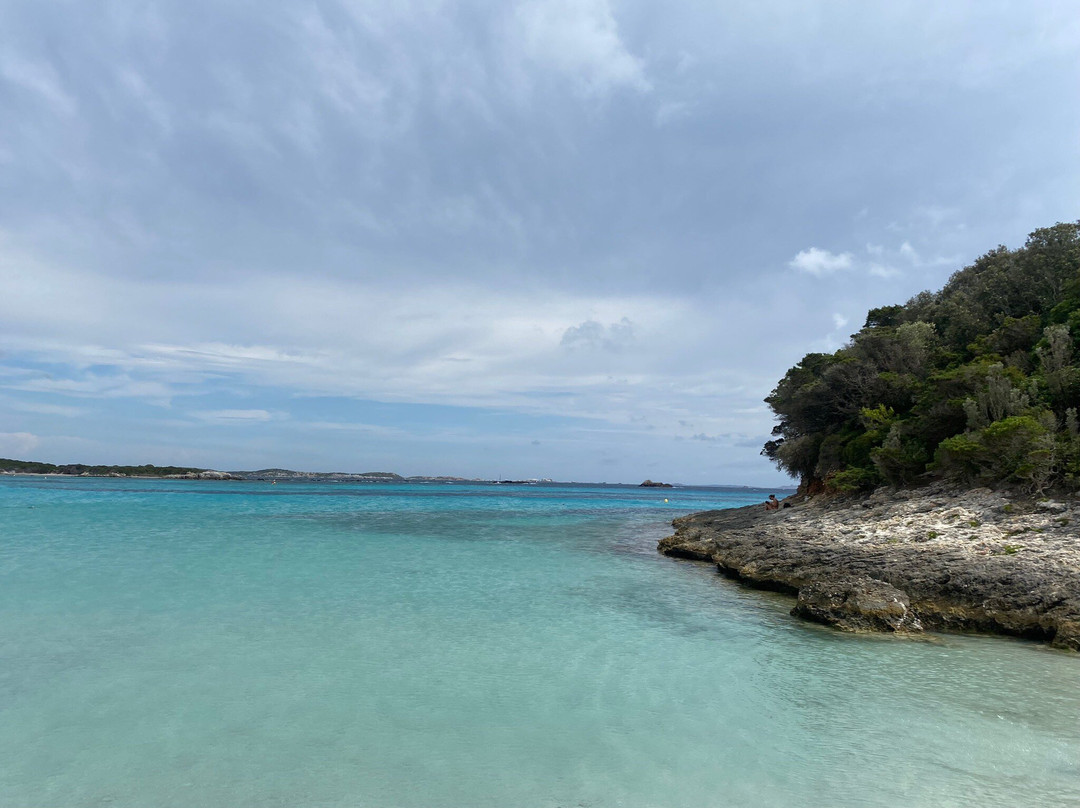 Plage du Petit Sperone景点图片