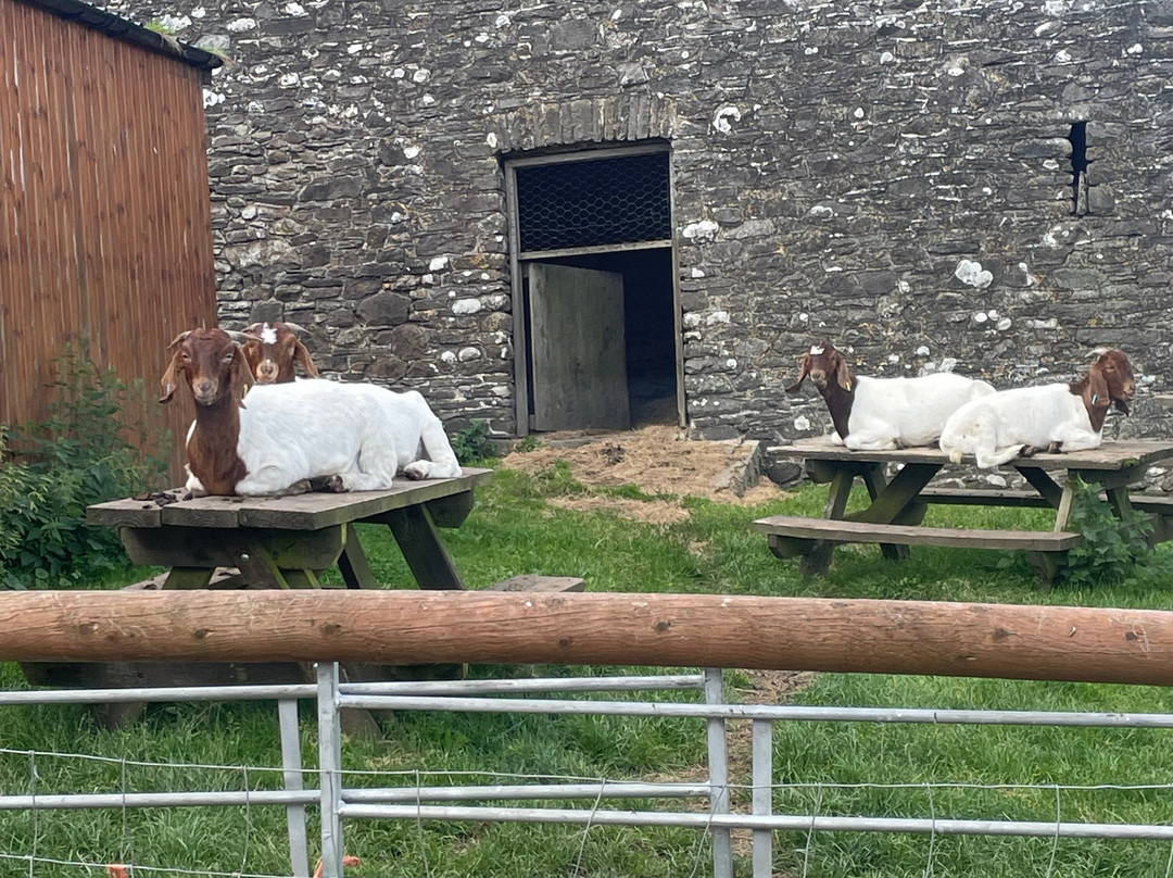 Exmoor Horse Riding and Trekking Centre景点图片