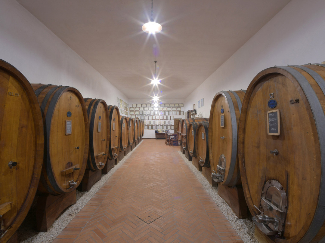 Azienda Agricola Fratelli Savigliano景点图片
