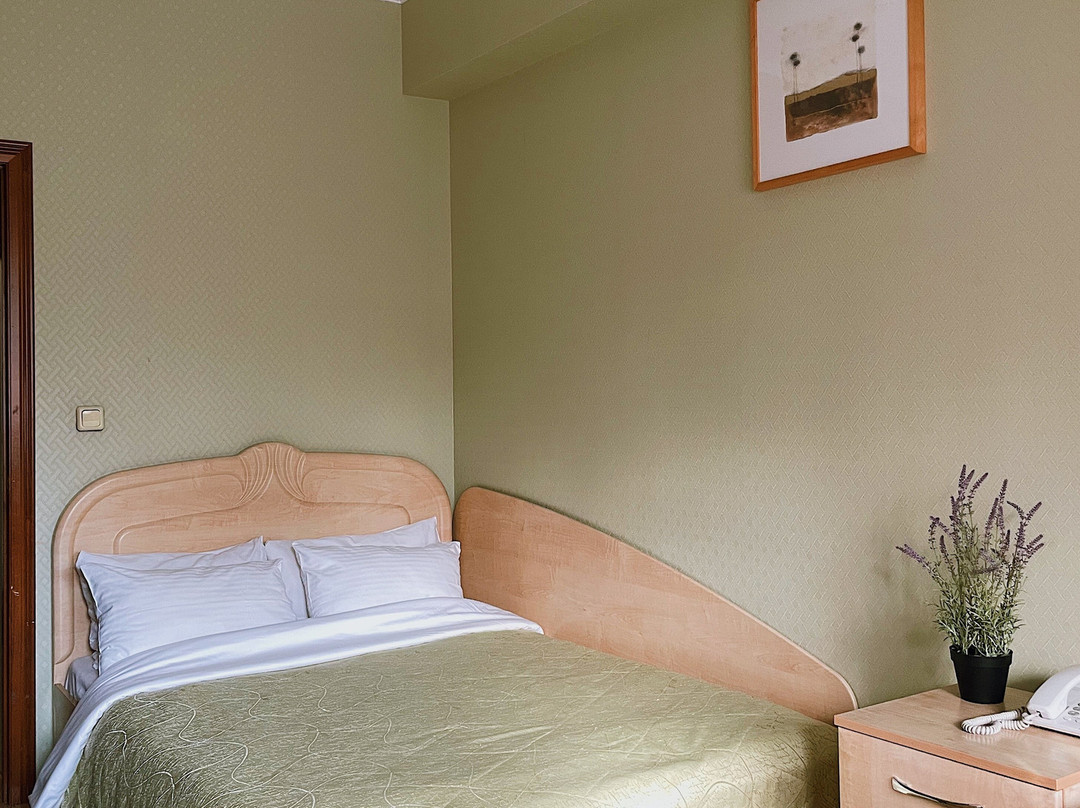 Troparevo Hotel and Health Complex主图