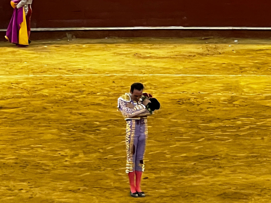 Plaza De Toros Almeriense景点图片