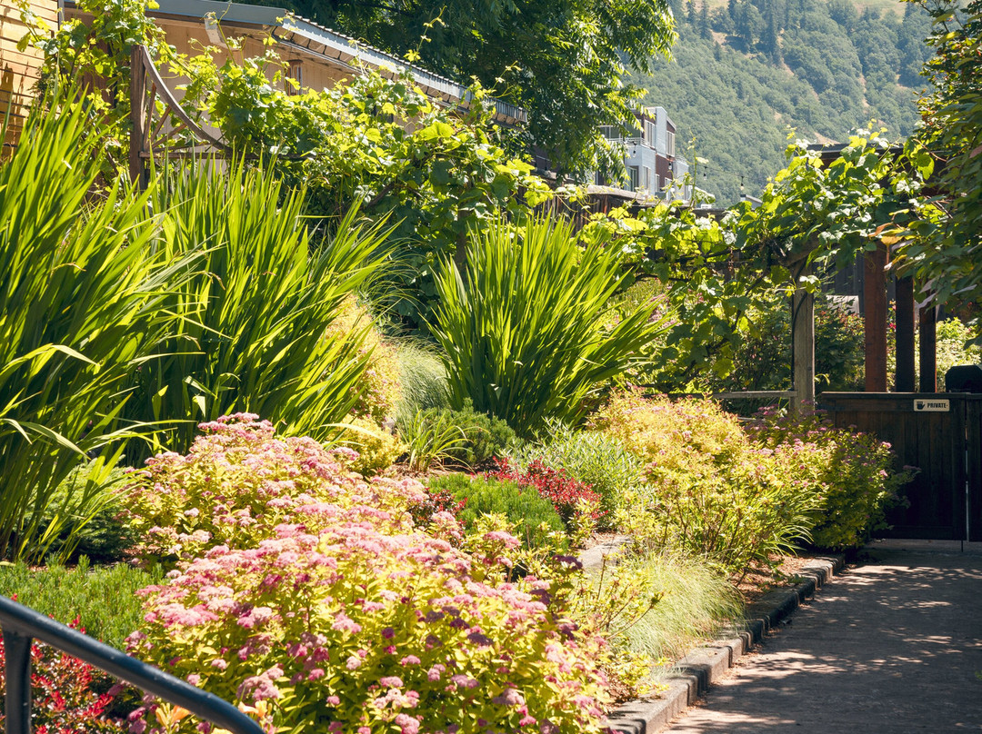 Inn Of The White Salmon主图