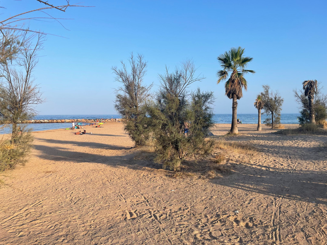 Esclamandes Beach景点图片
