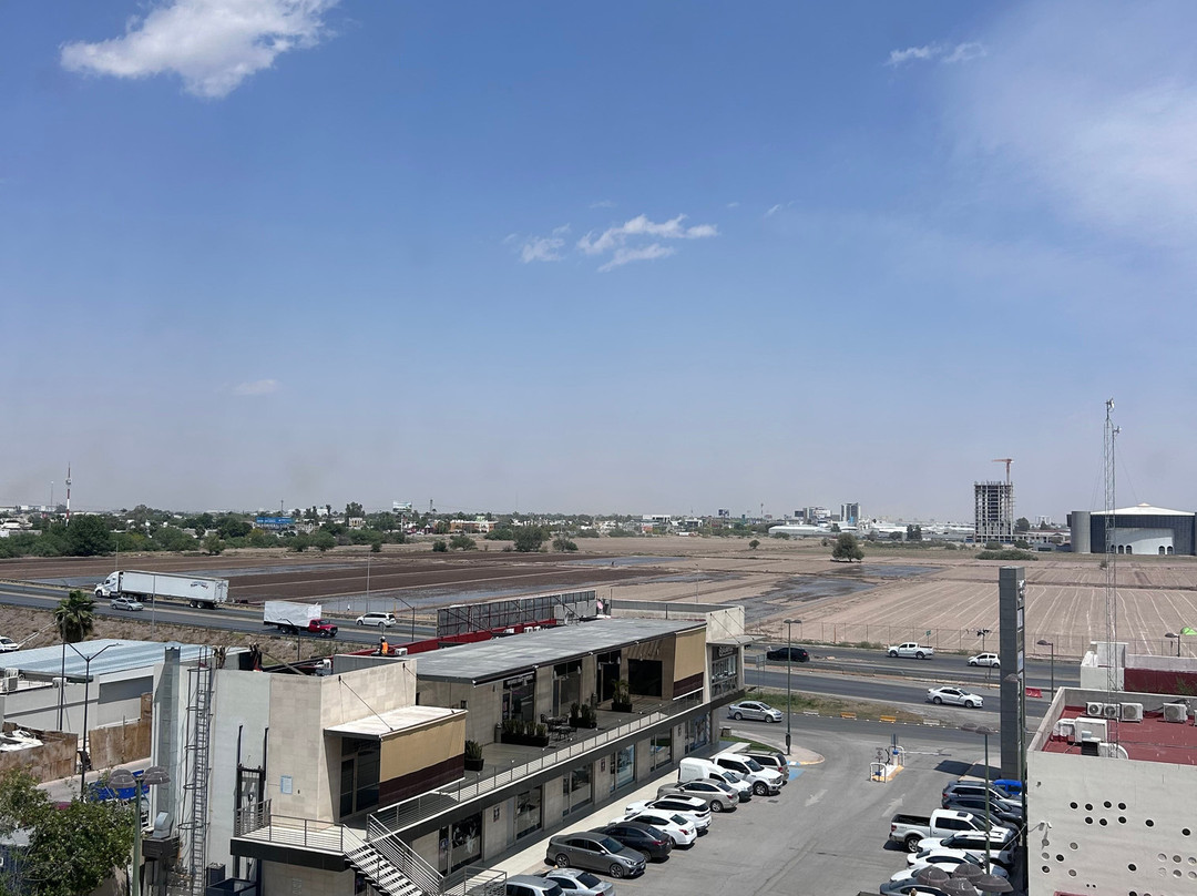 City Express By Marriott Torreón主图