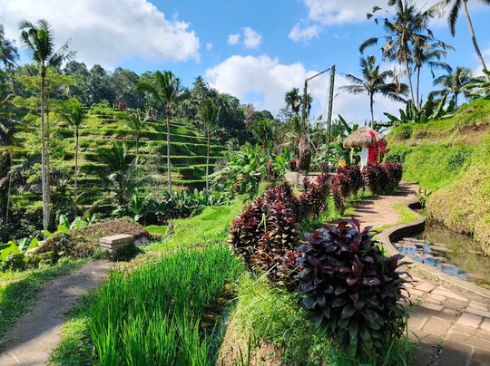 Exotic Bali Tours-吉安雅必去景点
