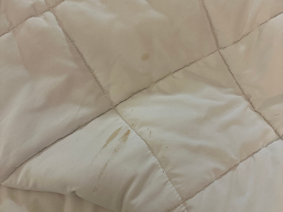 明尼阿波利斯北/弗里德利丽芙茵酒店主图