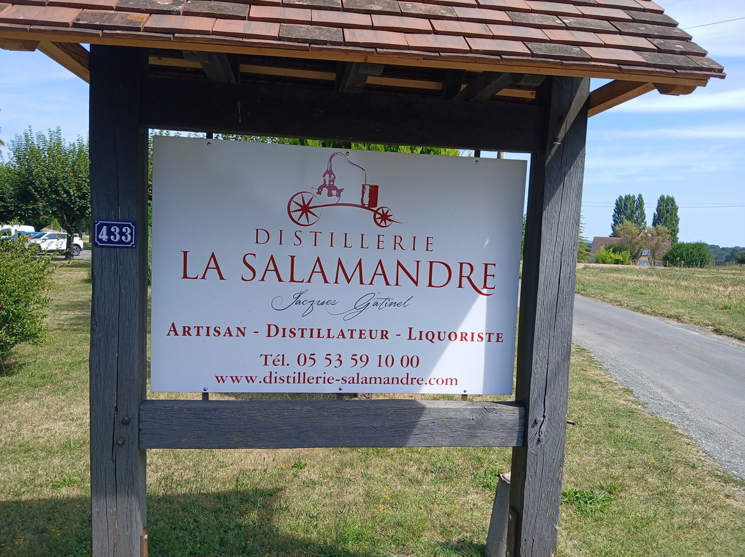 Distillerie la Salamandre景点图片