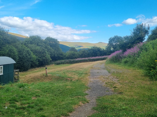 Dinas Castle Inn主图