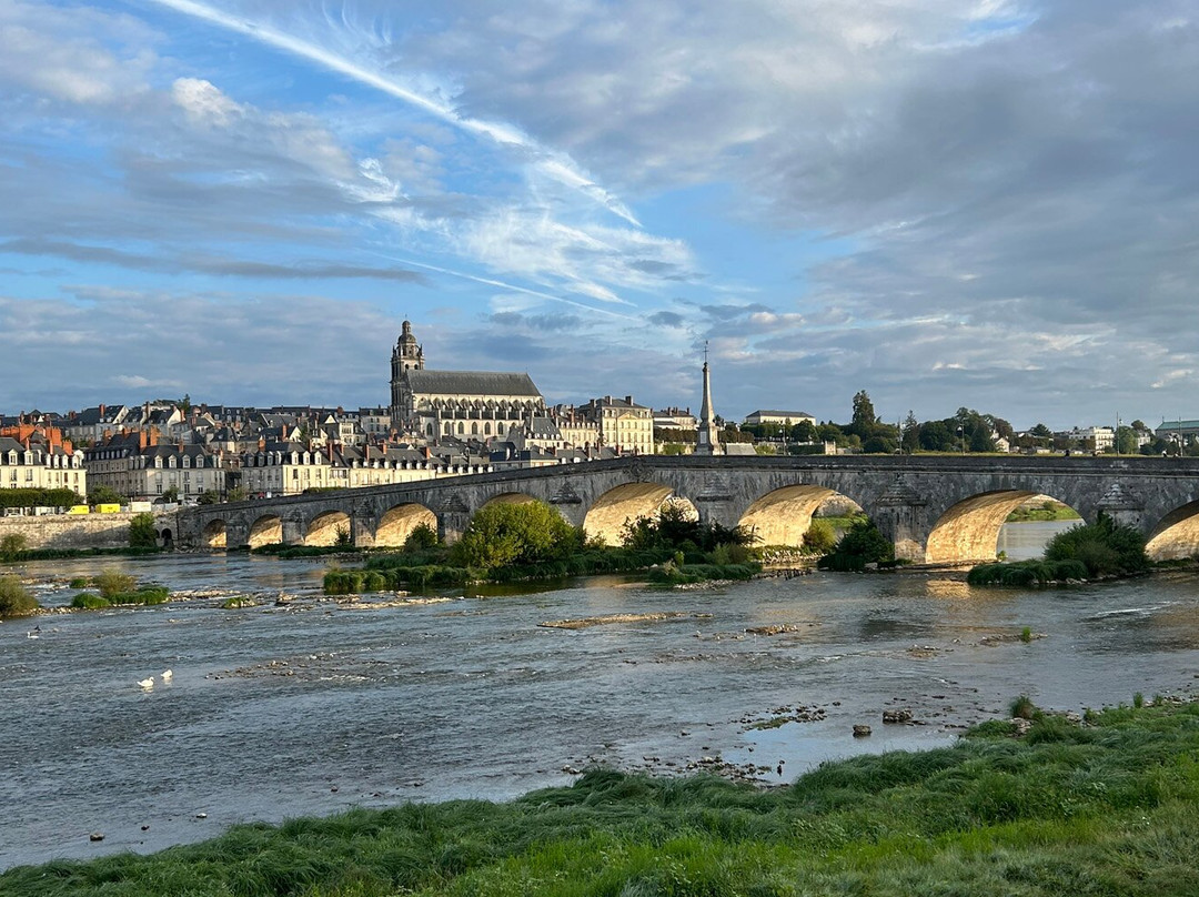 Fleur de Loire主图