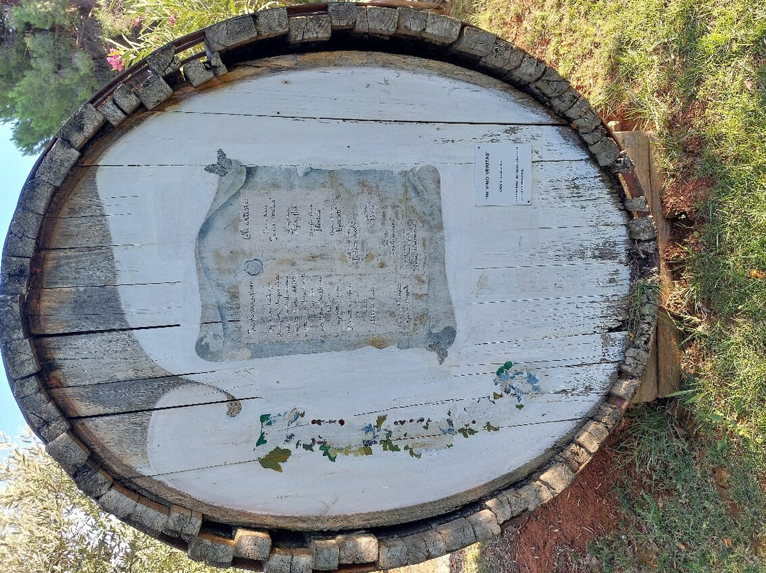Azienda Agricola Arrighi景点图片