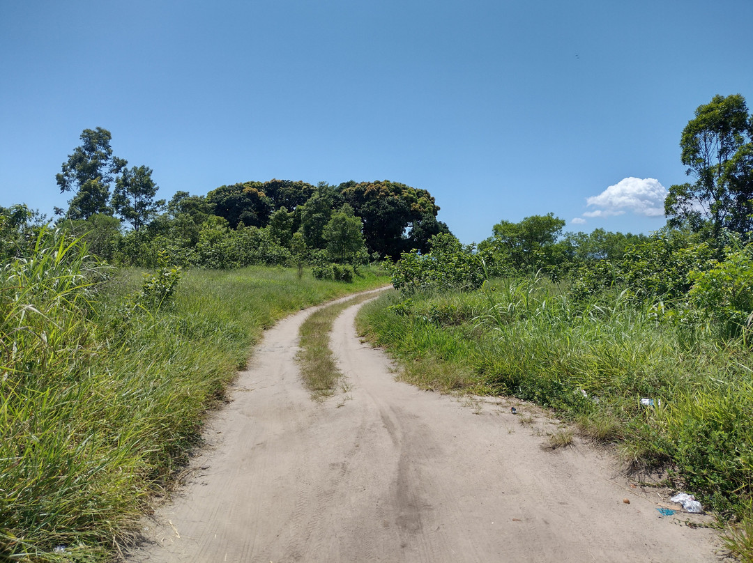 Costeira Beach-Governador Celso Ramos必去景点