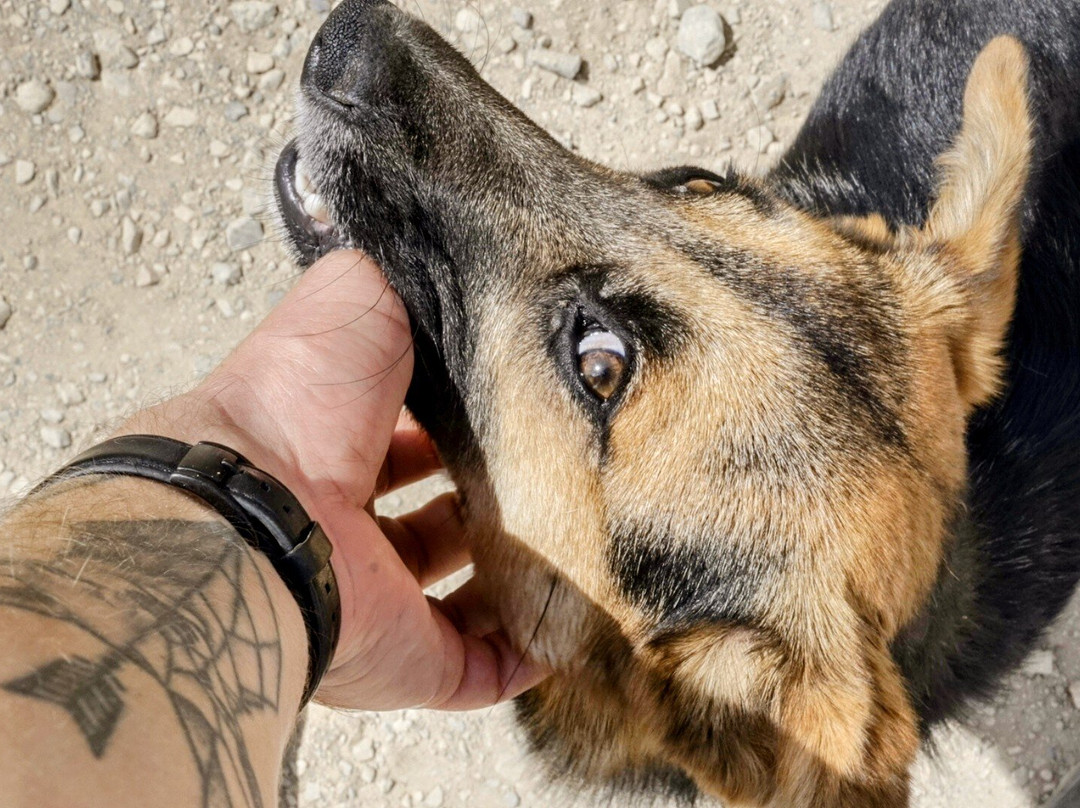 Pozos Azules-莱瓦镇必去景点