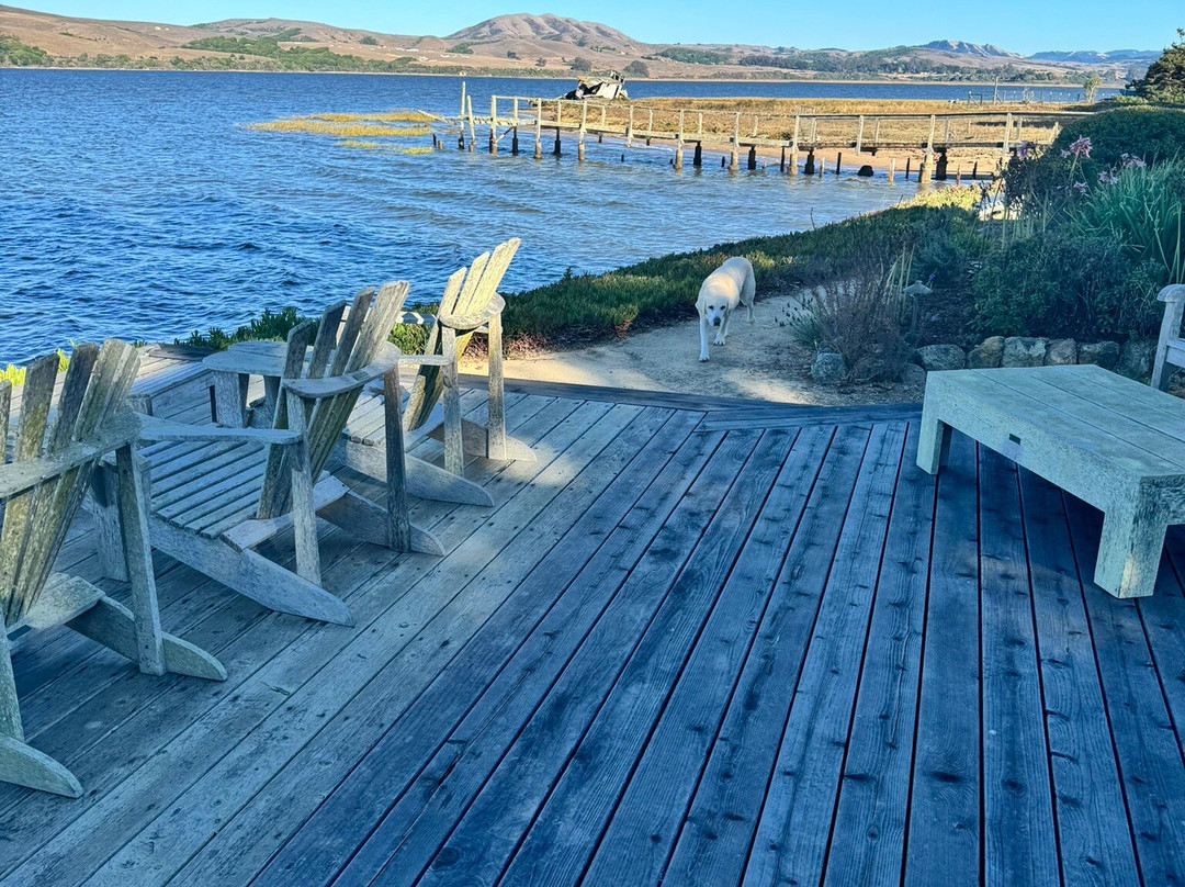 Dancing Coyote Beach主图