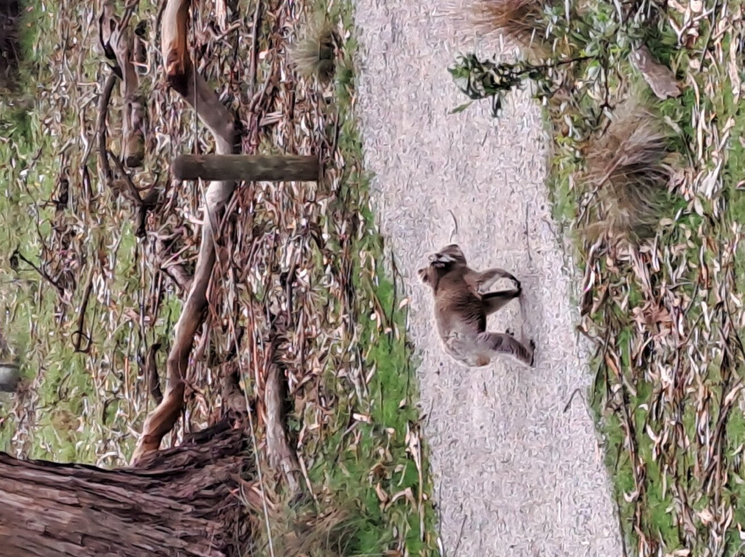 Island Breeze Resort主图