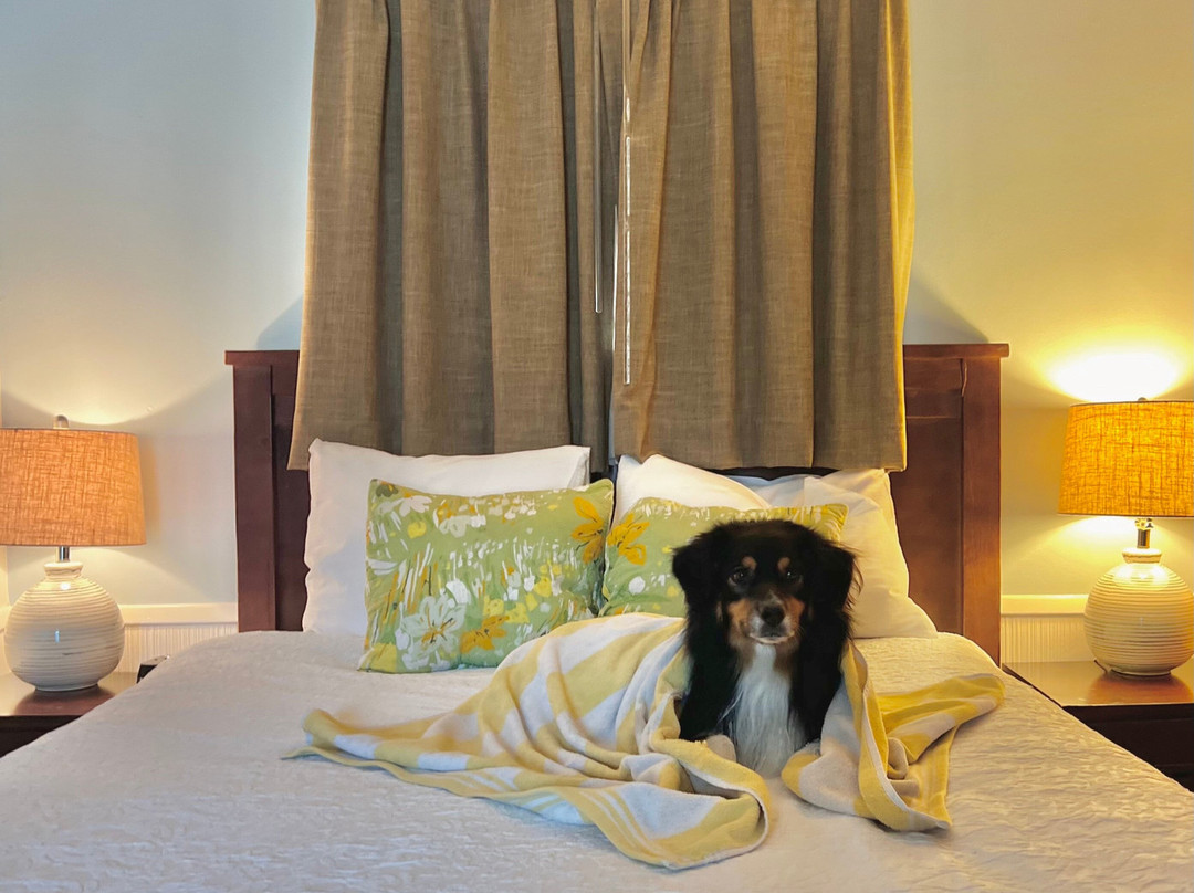 珠纳湖村酒店主图