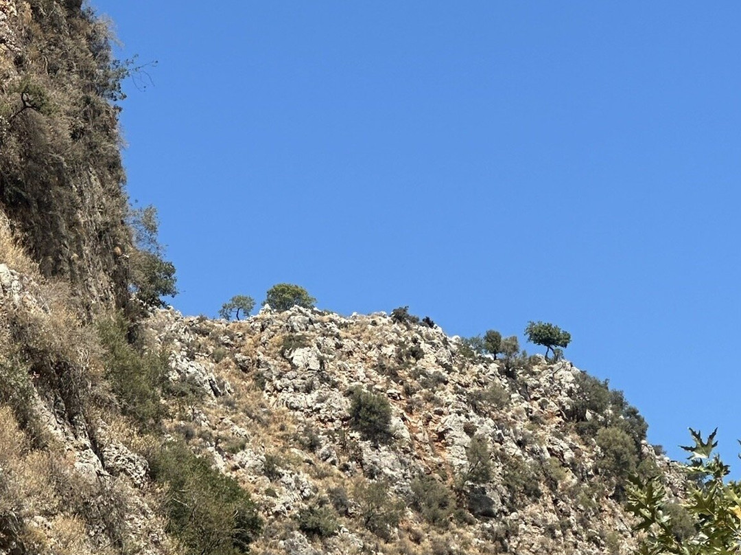 Gorges of Theriso景点图片