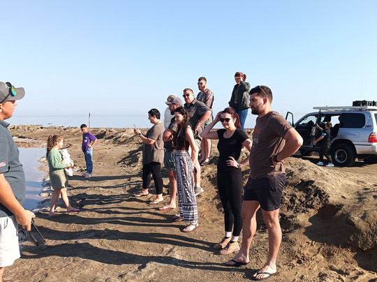 Inami Safaris-华维斯湾必去景点