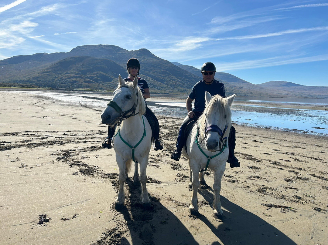 Mull Pony Trekking-马尔岛必去景点