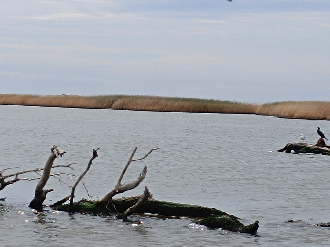 Delta Evros Explorer景点图片