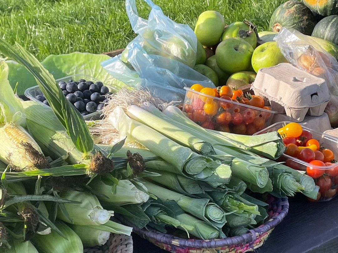 Weeting Saturday Car Boot Sale景点图片