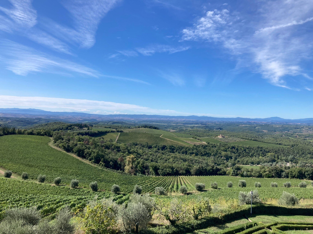 Chianti Bicycles景点图片