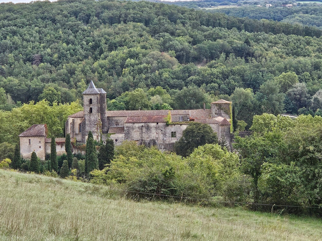 L'Abbaye Chateau De Camon主图
