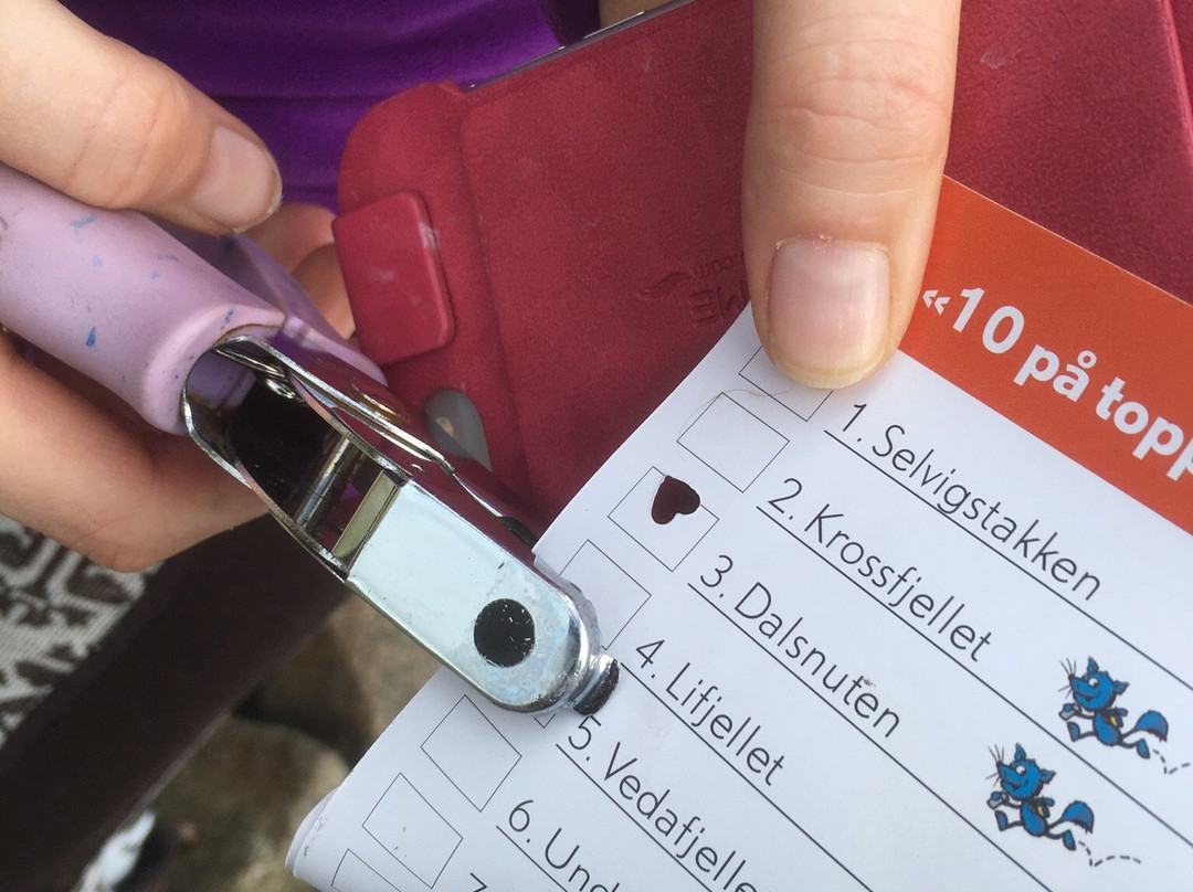 Vedafjell-Sirevag必去景点