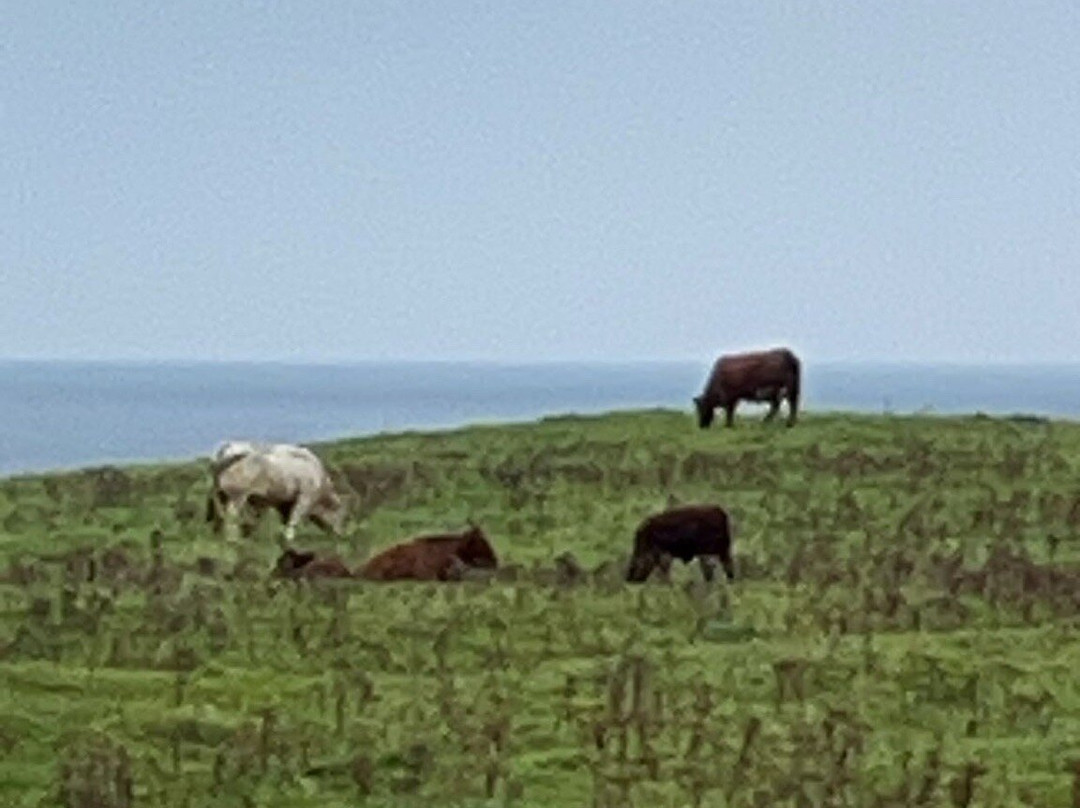 Doolin Pitch & Putt-杜林必去景点
