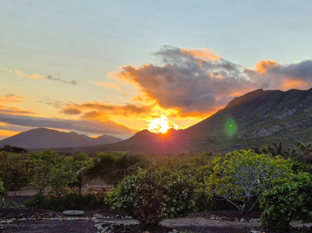 Karoo GravelGrinder-Prince Albert必去景点