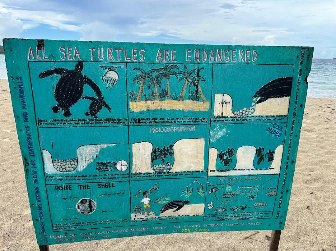 Playa Zoni-库莱布拉岛必去景点