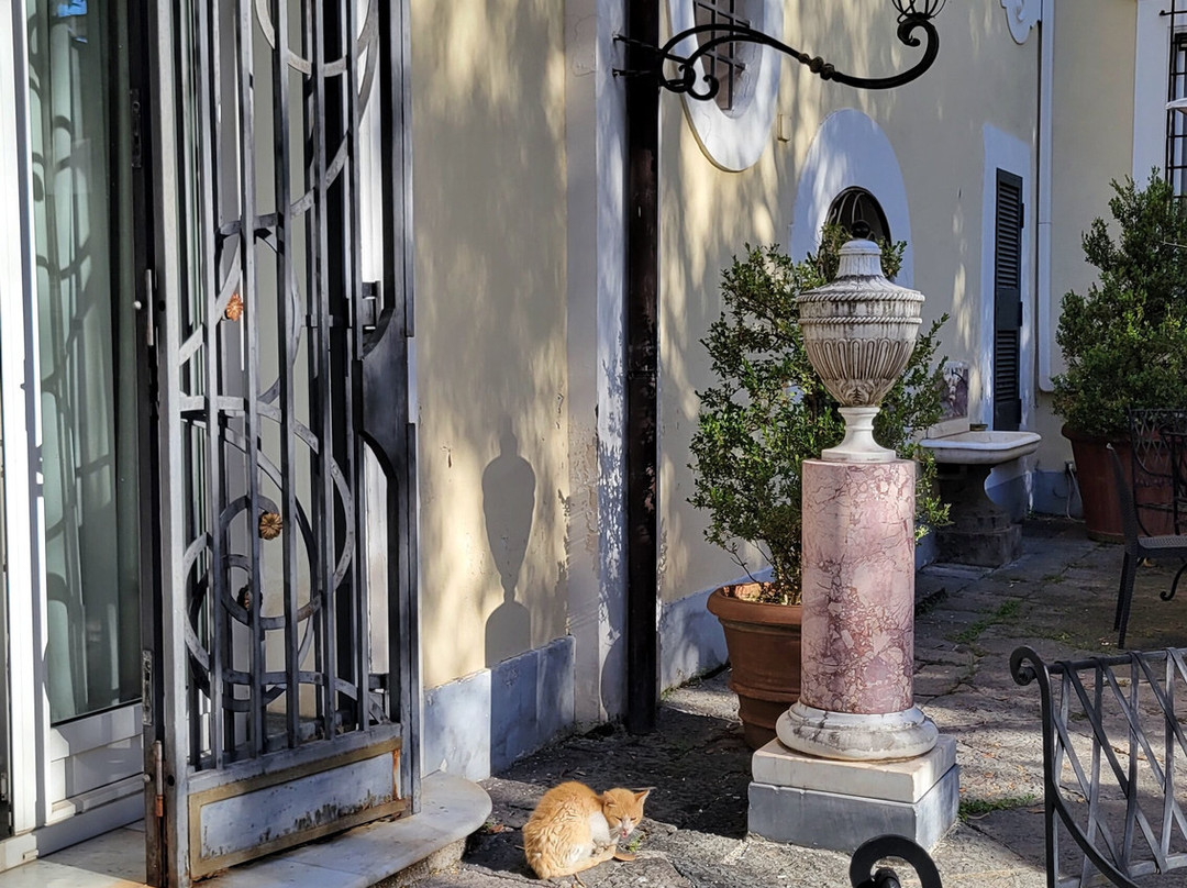 Villa San Gennariello B&B主图