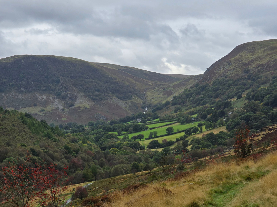 Gilfach Nature Reserve景点图片