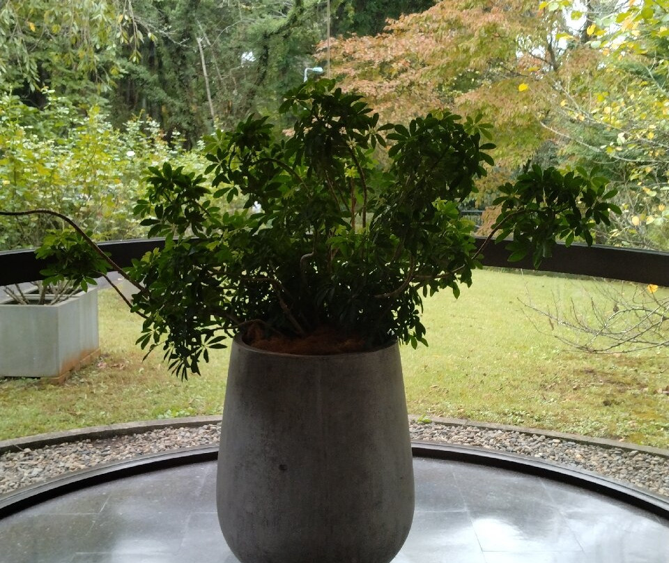 川村纪念美术馆-佐仓市必去景点