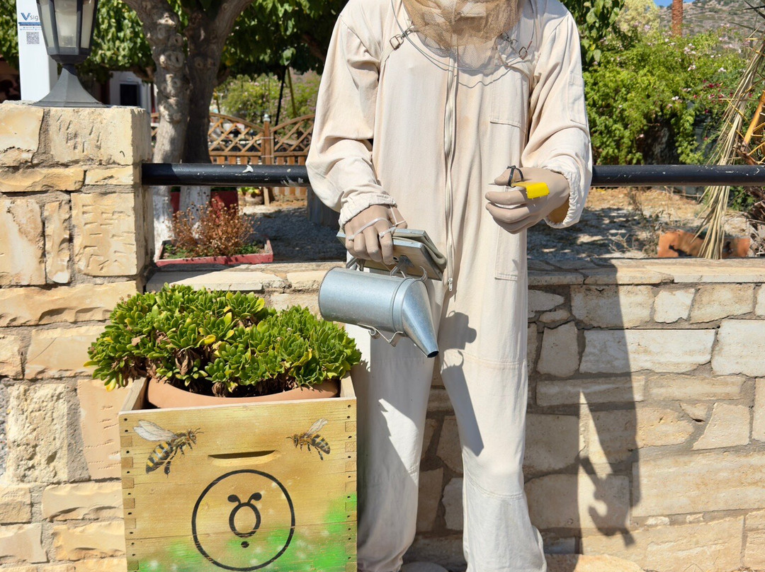 Apithano Honey Museum-Tasting & Tours景点图片