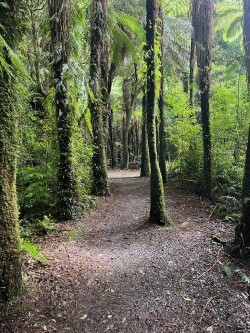 Silver Cloud Tours and Transfers-惠灵顿必去景点