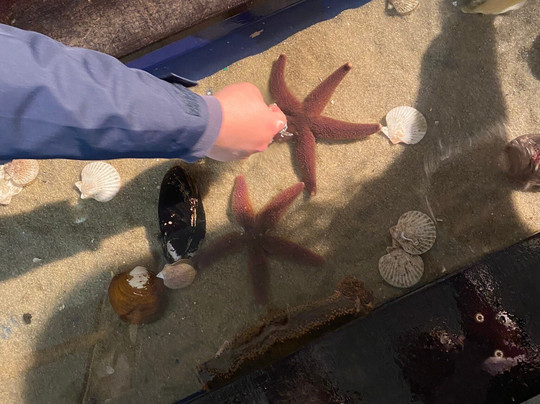 Føroya Sjósavn-Argir必去景点