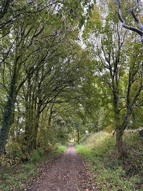 Tissington Trail景点图片