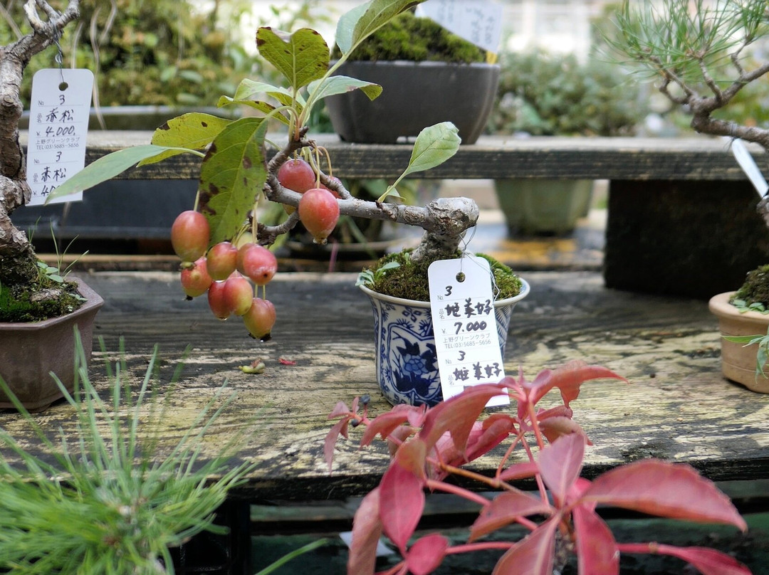 Ueno Green Club-Uenokoen必去景点