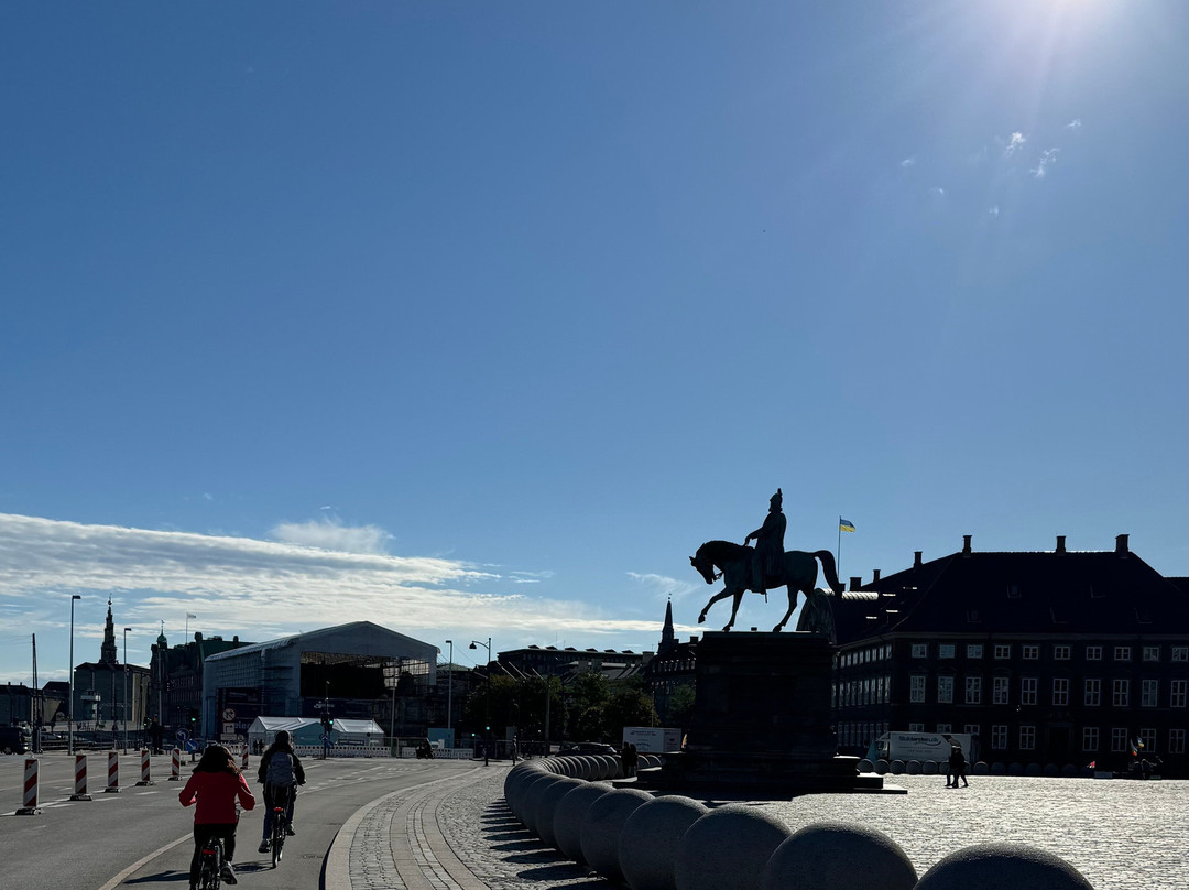 Foods of Copenhagen景点图片