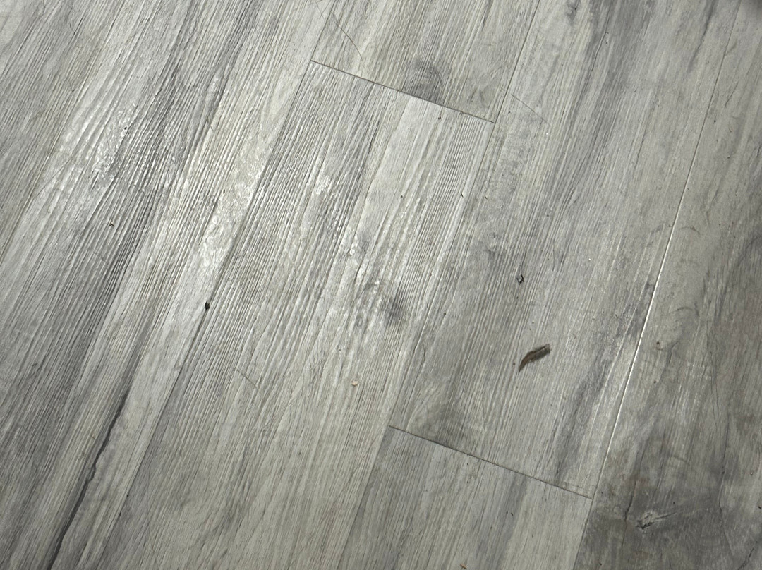 Days Inn by Wyndham Willcox主图