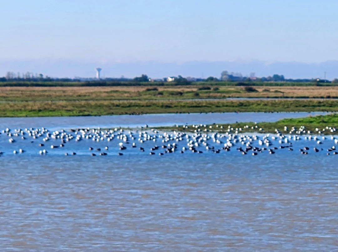 Reserve Naturelle Michel Brosselin景点图片