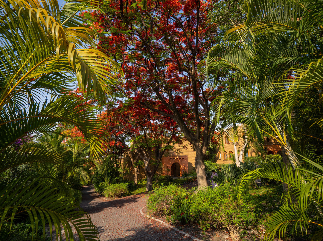 Misión Del Sol Resort & Spa主图