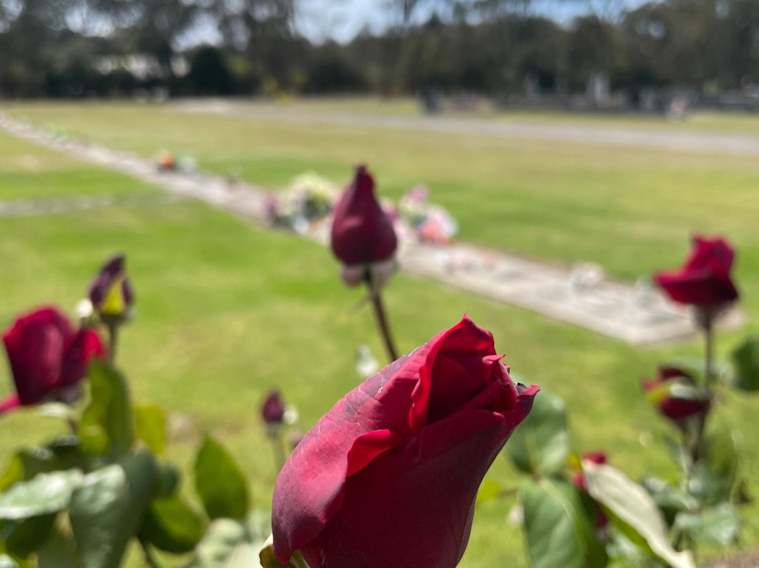 Heyfield Cemetery-Heyfield必去景点