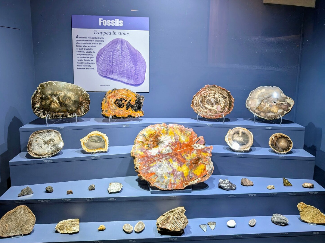 莱曼众议院纪念馆-希洛必去景点