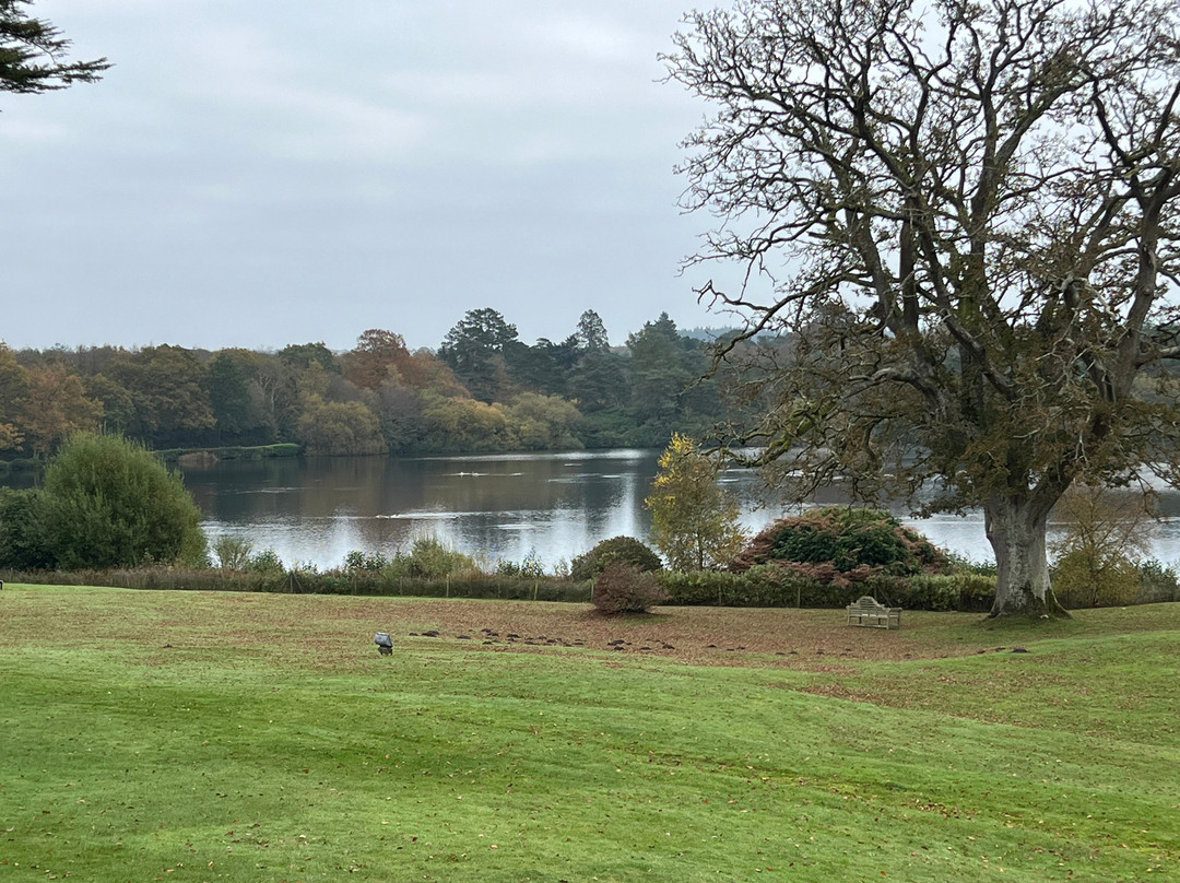 Champneys Health Spa景点图片